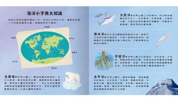 登登登！透光show-海洋生物來囉！